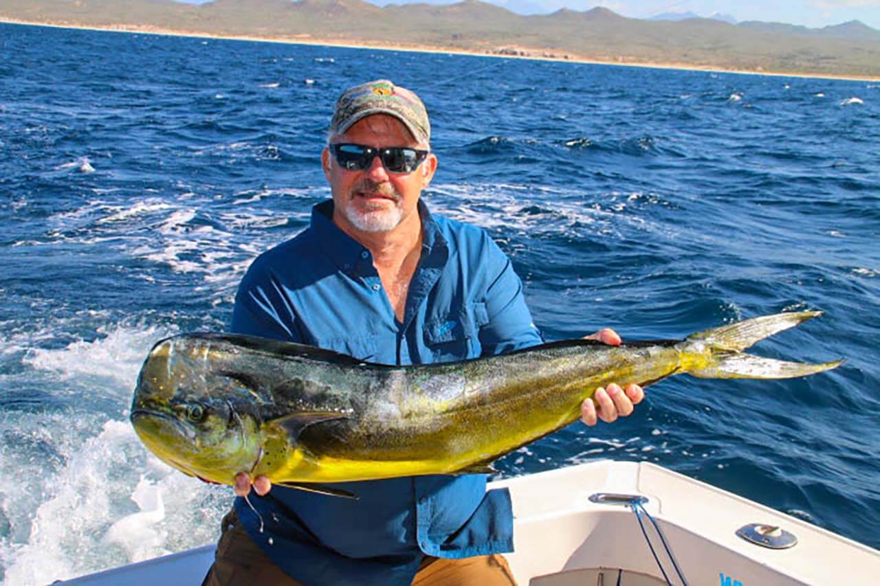 What Is the Best Cabo Fishing Charter for Dorado in October