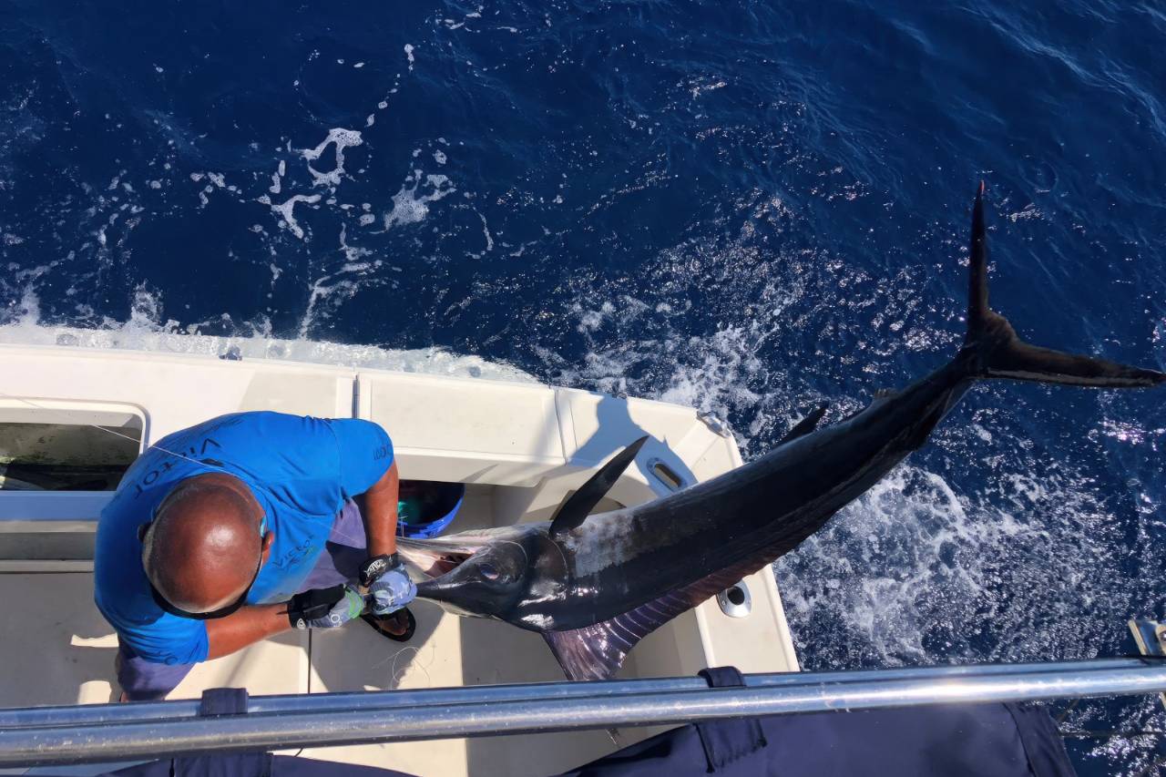 Where Should I Book a Private Cabo San Lucas Fishing Charter for October